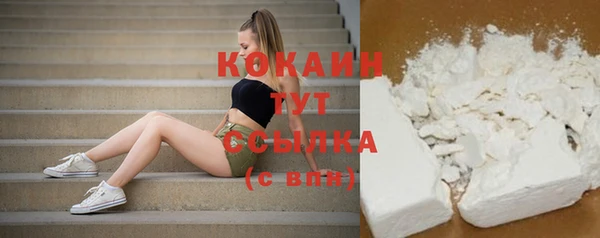 мдпв Касимов