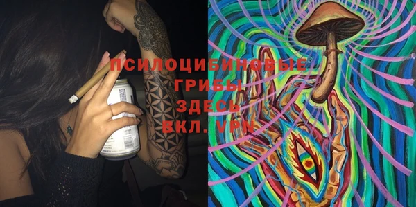 шишки Карталы