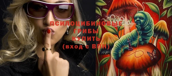 мдпв Касимов