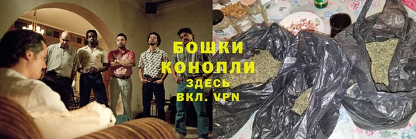 мдпв Касимов