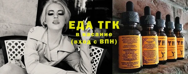 стафф Каменка