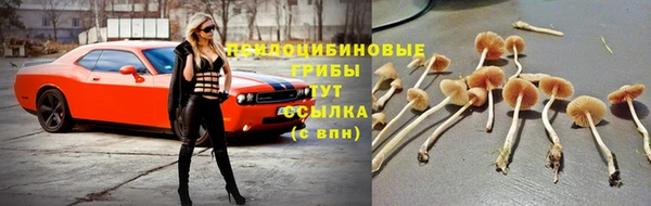 шишки Карталы