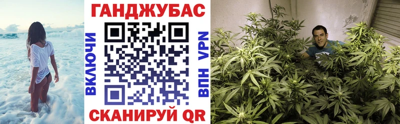 Конопля марихуана  как найти   Оха 